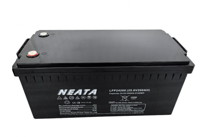 NEATA 24V 200Ah LiFePO4...
