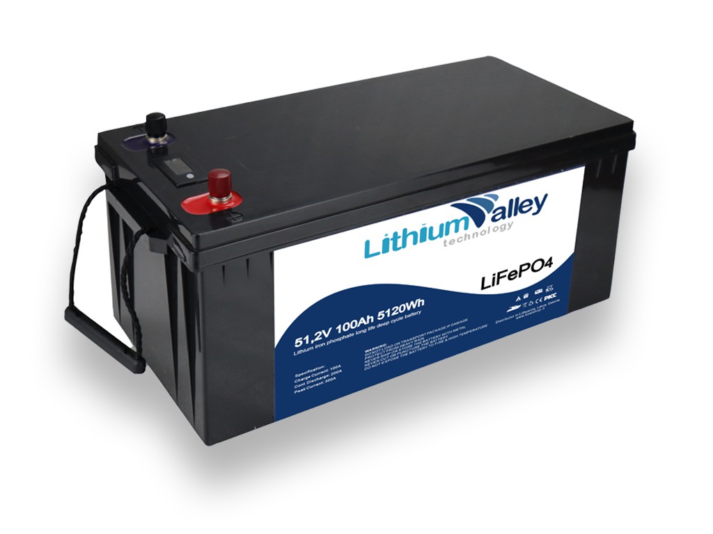 Lithium Valley 48V (51.2V) 100Ah LiFePO4 battery