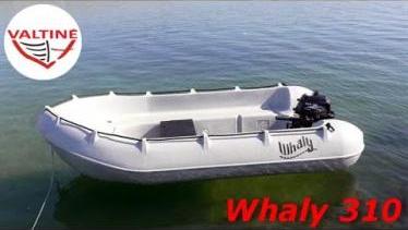Valtis / boat Whaly 310